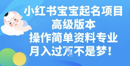 小红书宝宝起名项目高级版本，操作简单，资料专业，月入过W-学小盏