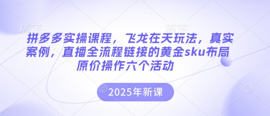拼多多实操课程，飞龙在天玩法，真实案例，直播全流程链接的黄金sku布局原价操作六个活动-学小盏