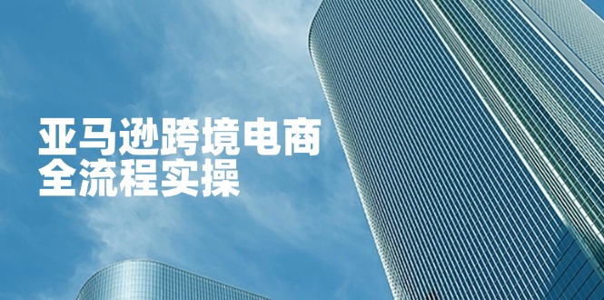 （14252期）亚马逊跨境电商全流程实操，教你从零开始，掌握店铺运营与广告技巧-学小盏
