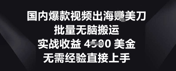 国内爆款视频出海挣美刀，批量无脑搬运，实战收益4.5k，无需经验直接上手-学小盏
