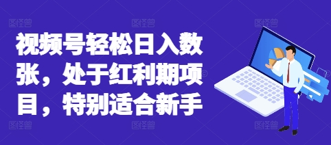 视频号轻松日入数张，处于红利期项目，特别适合新手-学小盏