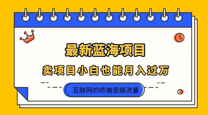 （14289期）2025年最新蓝海项目，卖项目小白也能月入过万-学小盏