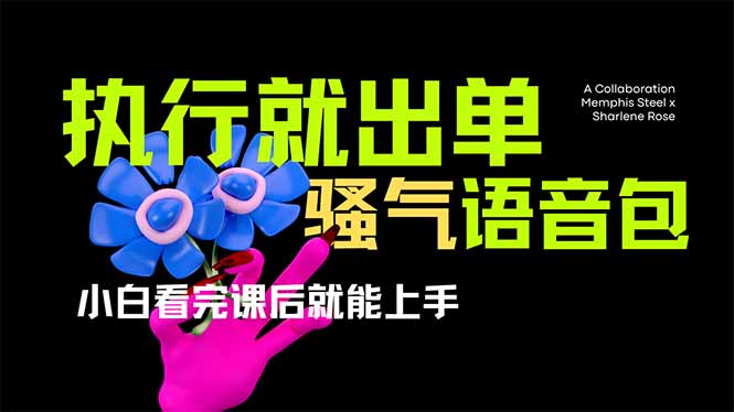 （14170期）爆火全网的开车导航骚气语音包,只要执行就出单，小白看完课程就能实操...-学小盏